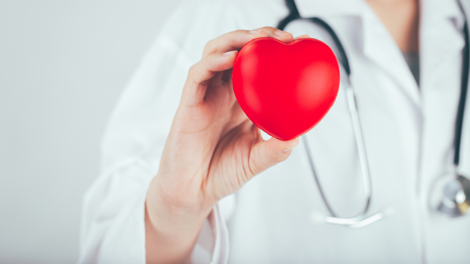 Seguros de Vida y Salud